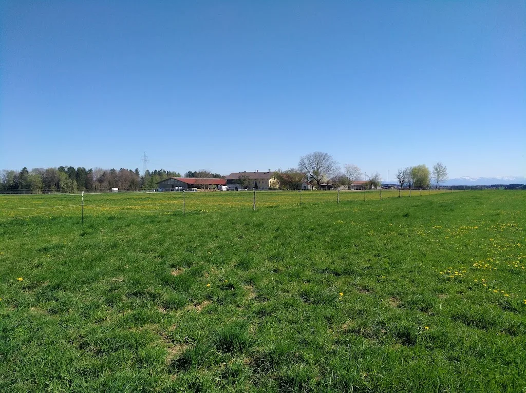 Linnenhof - Foto 3