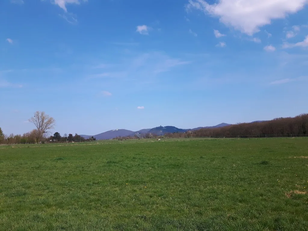 Holzvolder Hof - Foto 2