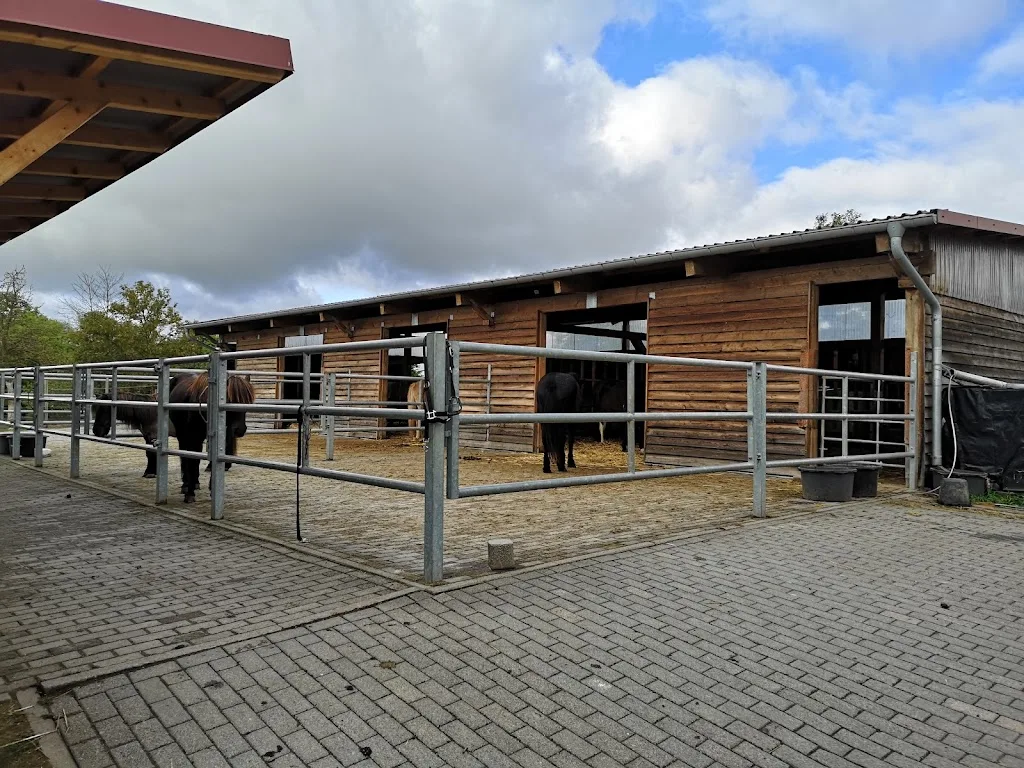 Reiterhof Islandpferde - Foto 1