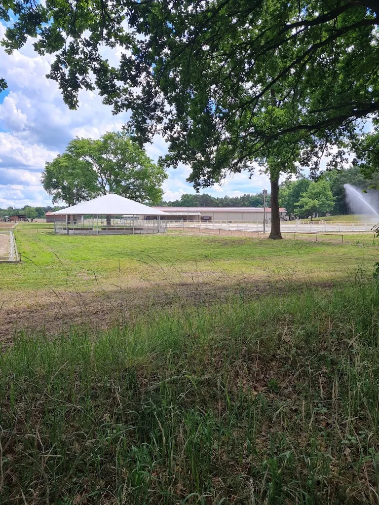 St. Georg Equestrian Club – Reiterhof Bestensee - Foto 2