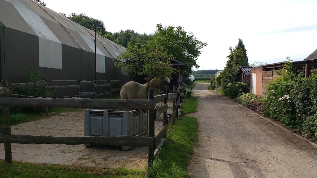 Reitstall Ponyhof - photo 2