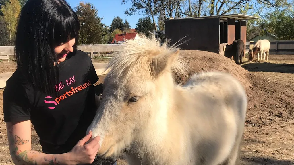 Anna's Winkelhof | Alpakawanderungen u. Reitunterricht Schwerpunkt Kinder - Foto 1