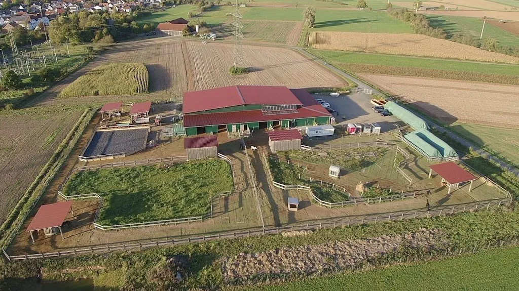 Pferdepension & Landwirtschaft Appel - Foto 2