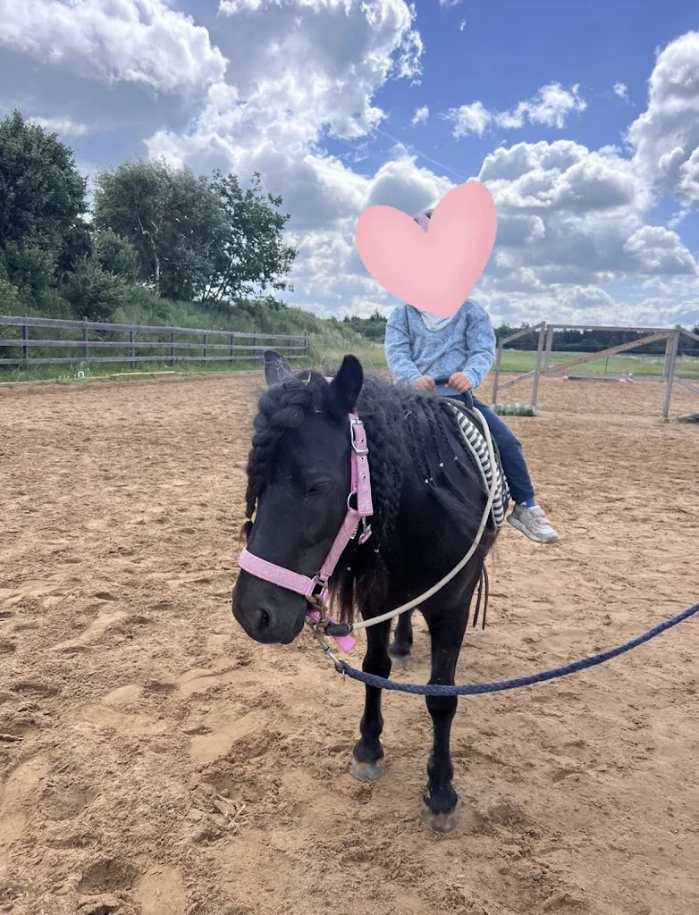 Pferd und Du - Foto 2