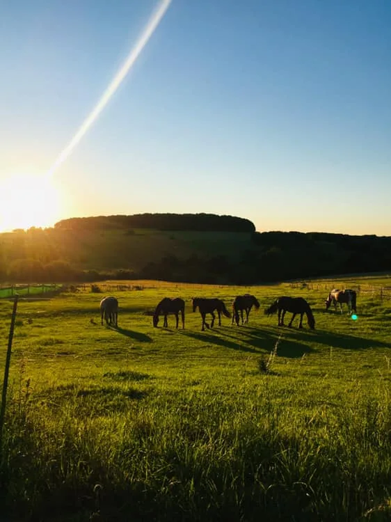 Kim Ranch - photo 1