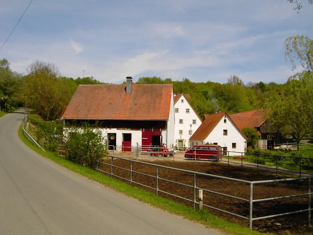 Reitschule Schneemühle, Elisabeth Samberger - Foto 2