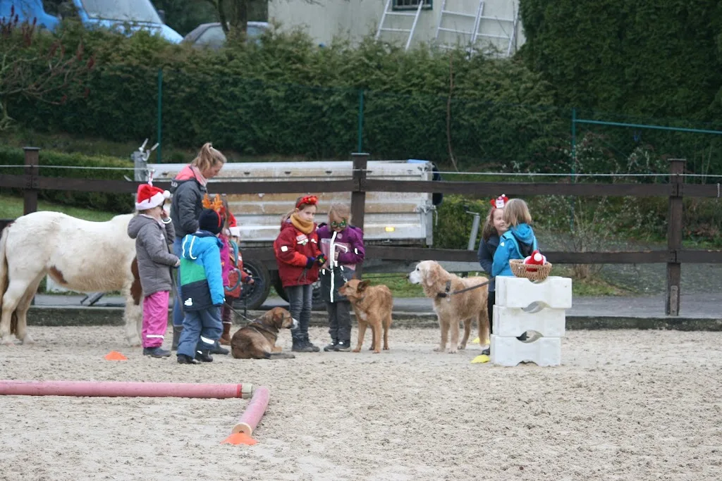Trainingsstall / Gestüt Leckebusch - photo 3