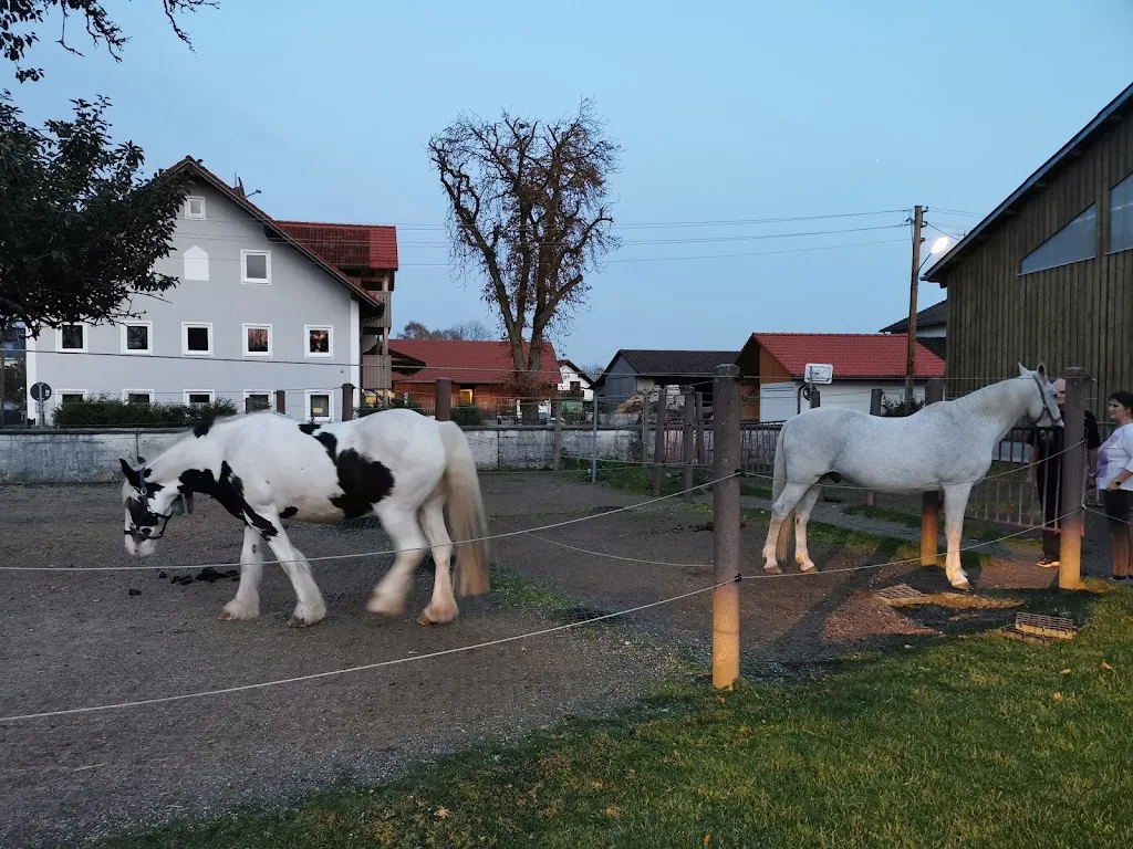 Reitanlage Langendorf - Foto 2