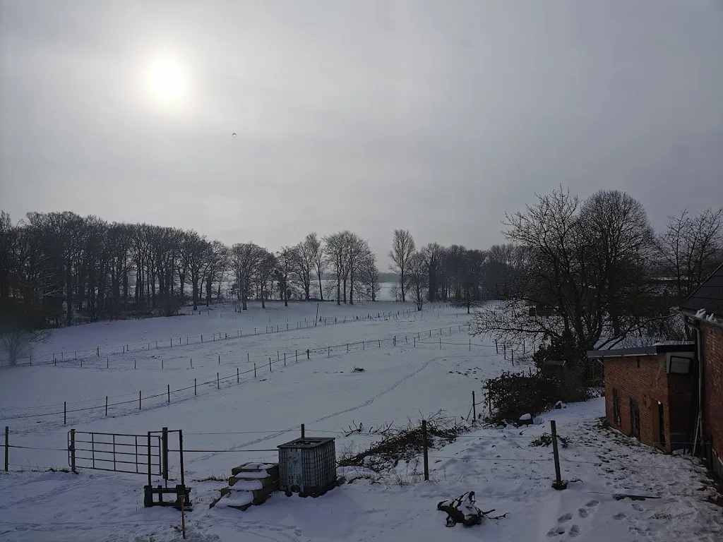 Reitstall-Baccara Beckedorf - Foto 2