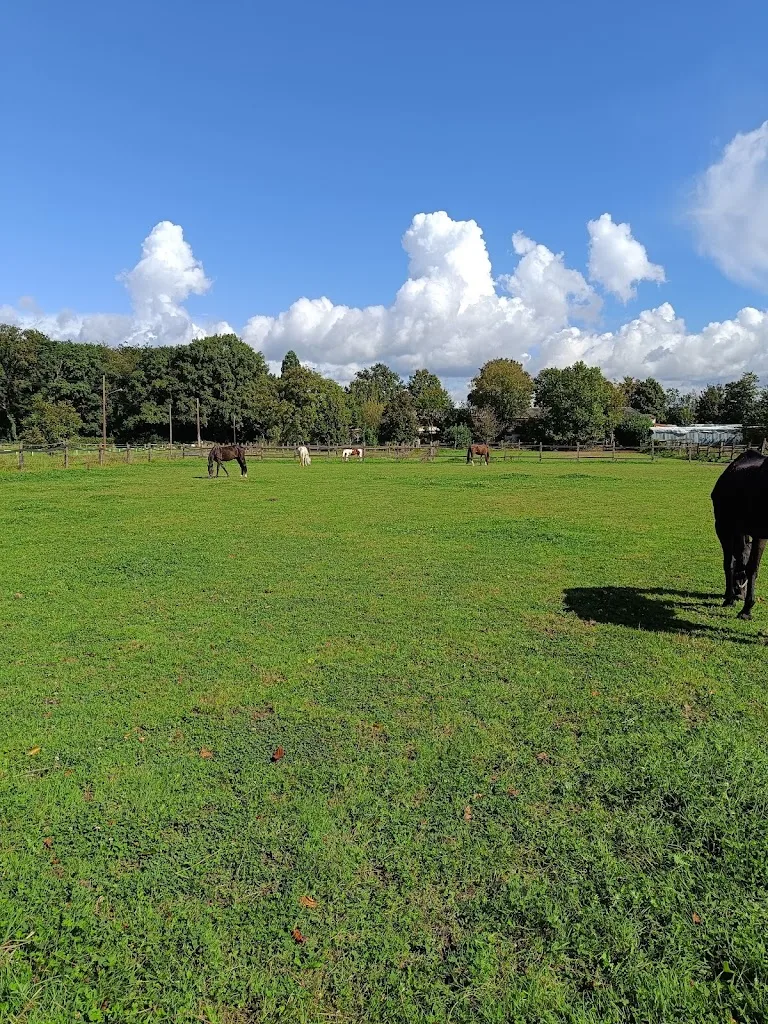 Reitanlage Terlinden - Foto 2