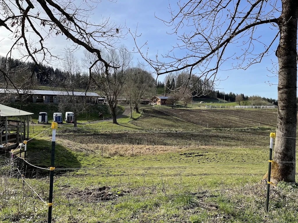 Reitanlage Hohenleiten - Foto 1