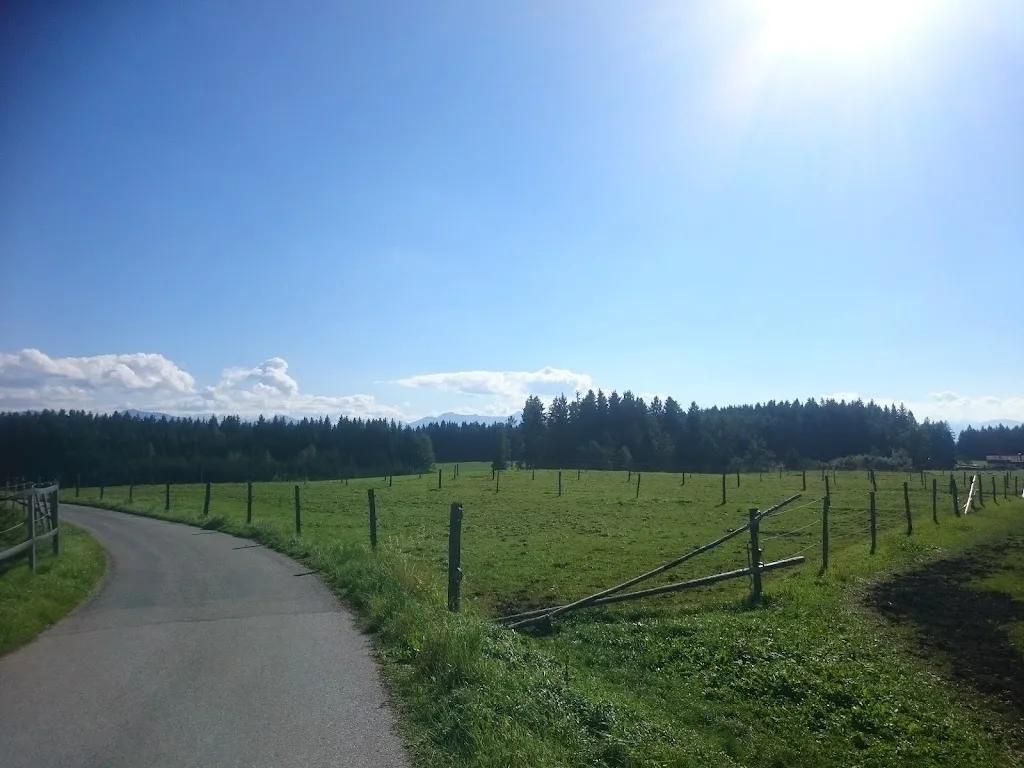 Reitanlage Hohenleiten - Foto 3
