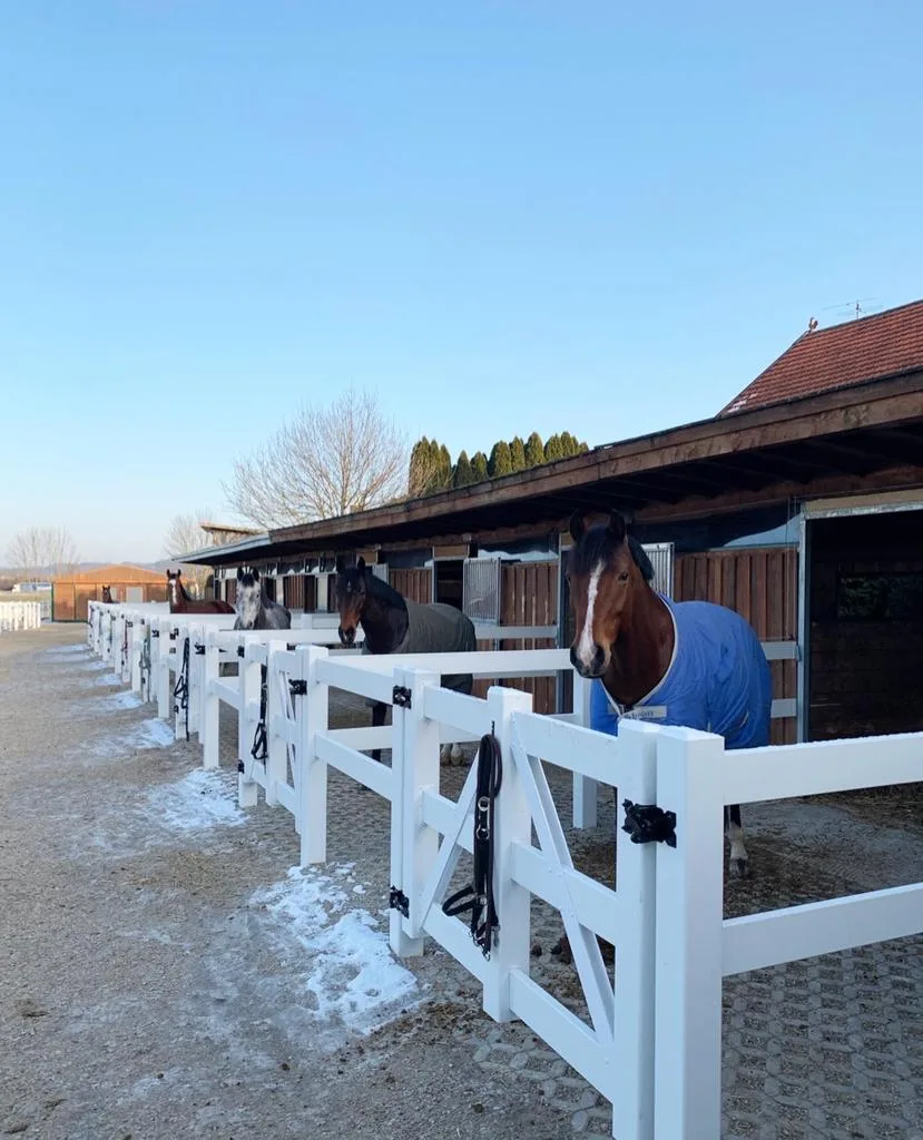 Reitstall Schweizer Hof Eggenberg, Antonia & Christoph Gaillinger - photo 1