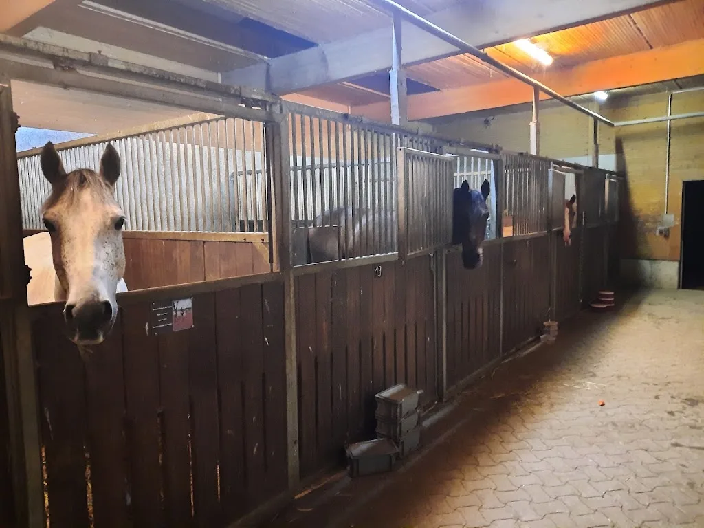 Reitstall Fischerhof - photo 1