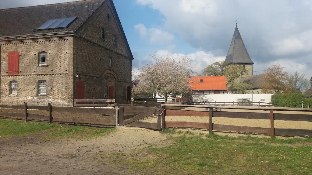 Islandpferde Winkelshof - photo 1