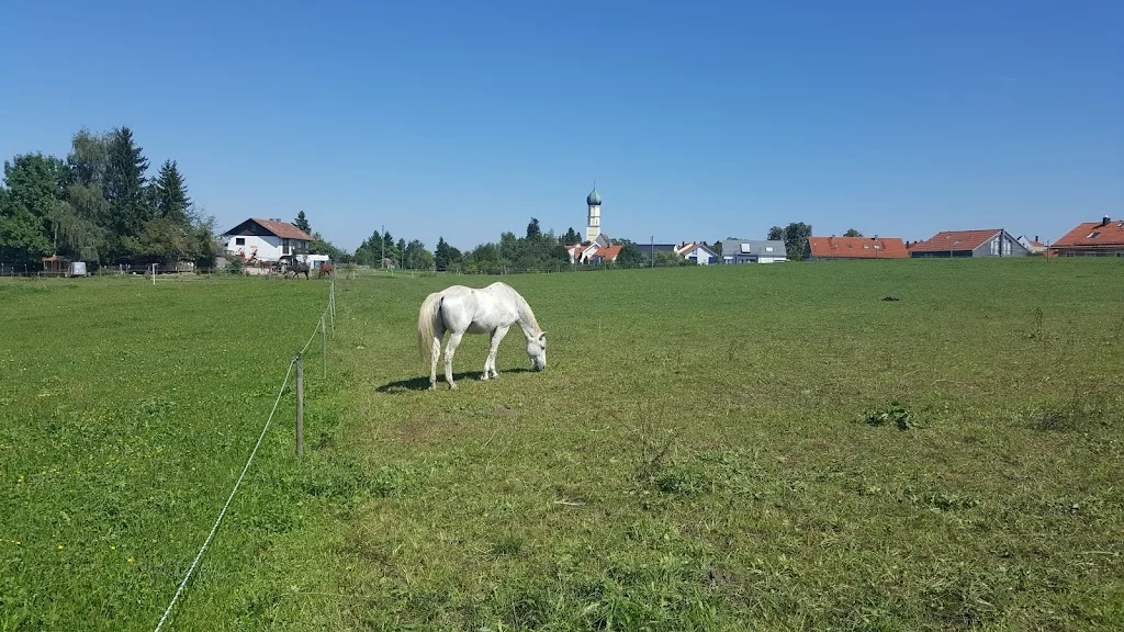 PferdefutterExpress-Hoffmann - photo 1
