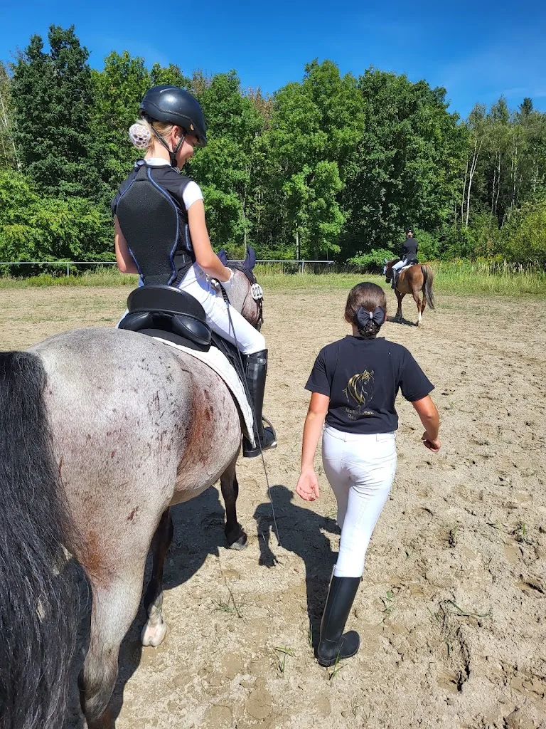 Reitanlage Mühlbachhof - Foto 2