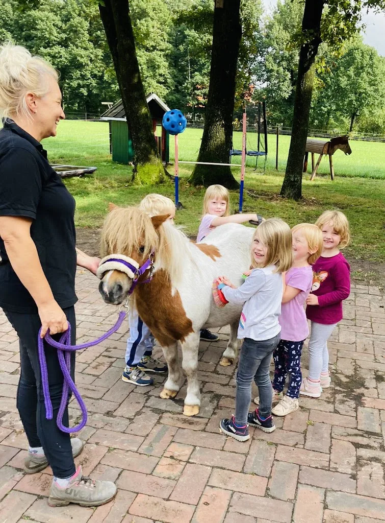 Gesundheits- und Ausbildungsstall Gestüt Lohhof - photo 3