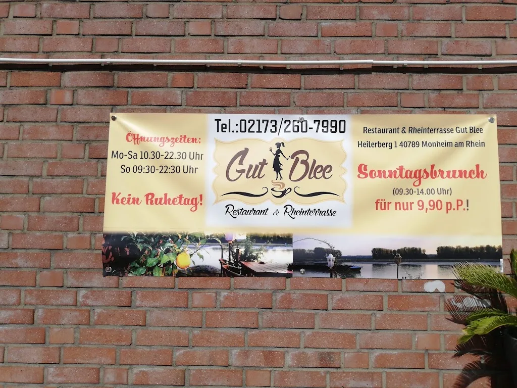 Reiterhof Gut Blee - Foto 2