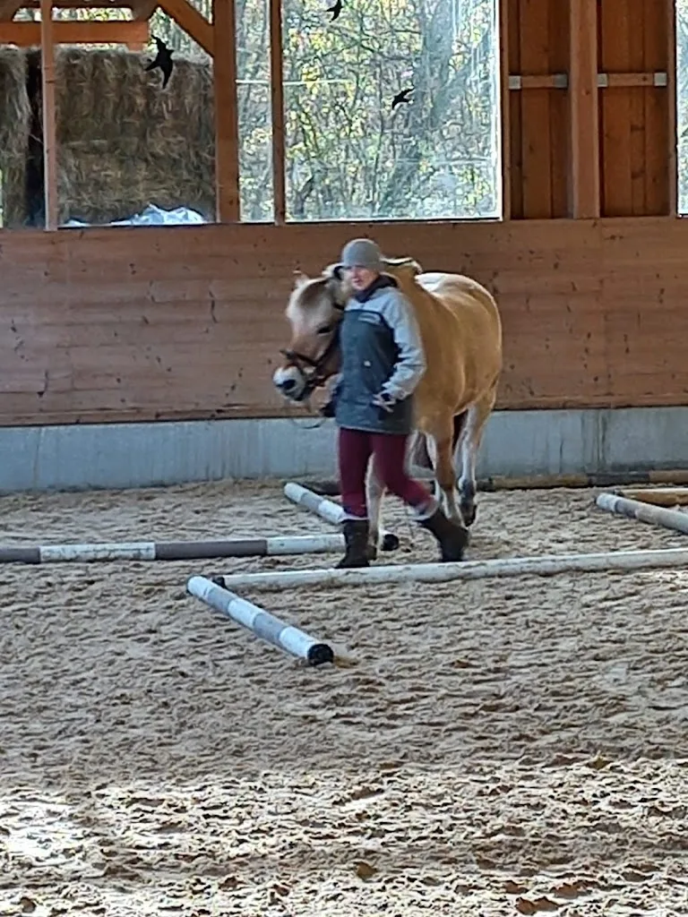 Reittherapiezentrum Lebenshilfe Nürnberger Land - photo 2
