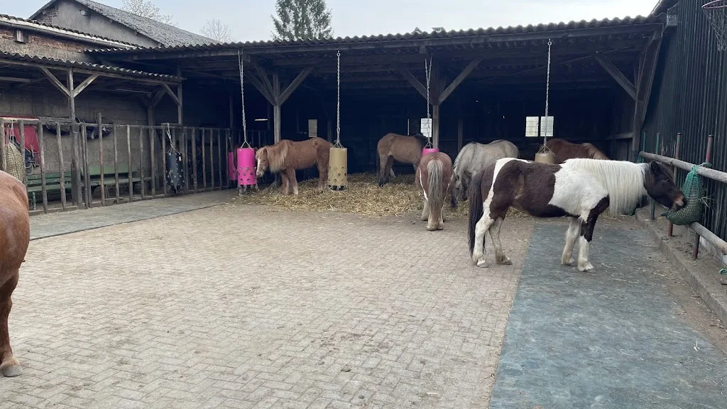 Heart Horse Ranch - Foto 2