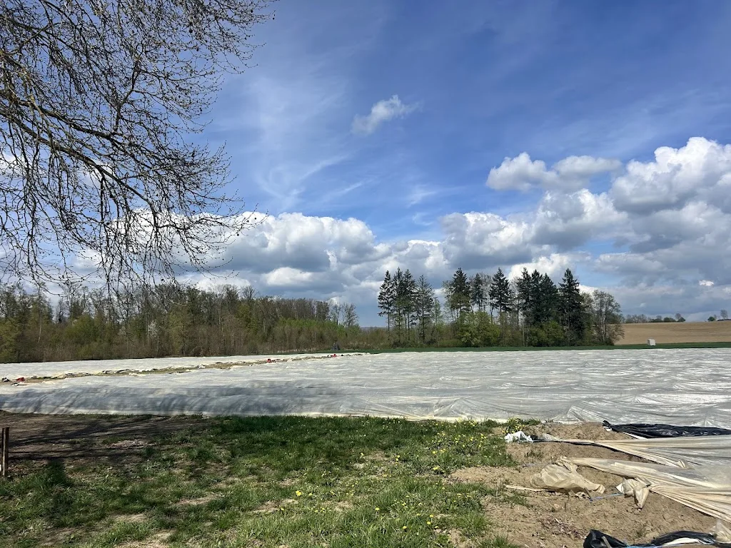 Hof Fehrenberg - Foto 2