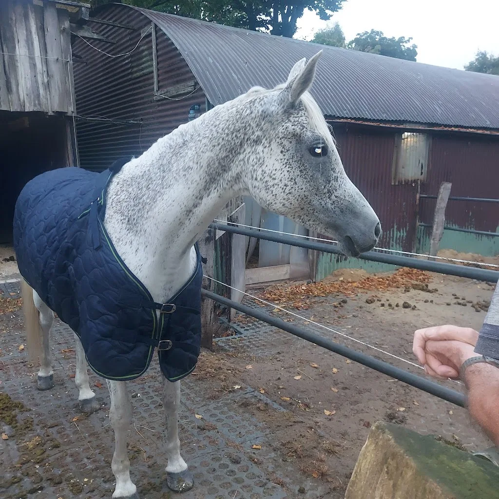 Stall Fernsicht - Foto 2