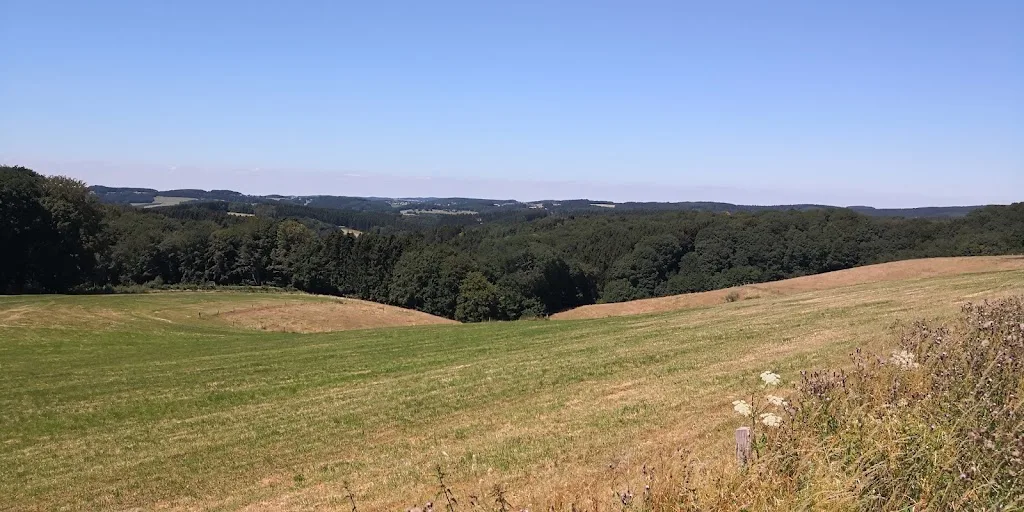 Kaltenborner Offenstall - photo 3