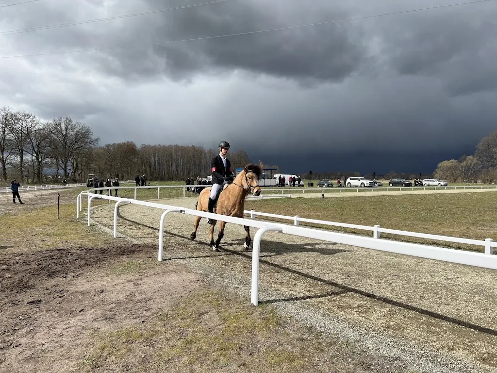 Rhinland Reitpark GmbH - photo 1
