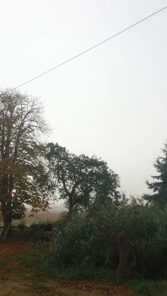 Hof Seiters - Foto 2