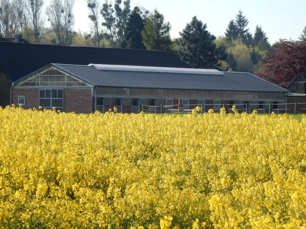 Reitstall Gut Sonnenhof - photo 3