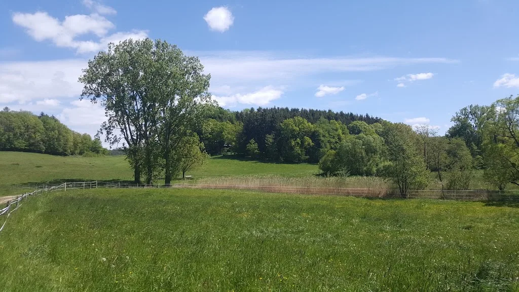 Eichelhof - Foto 1