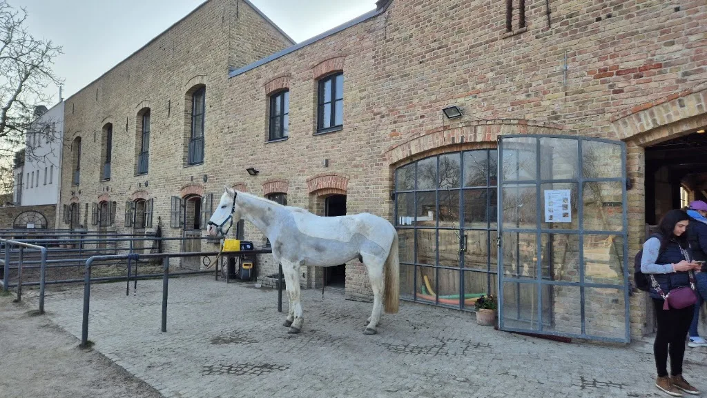 Eschenhof - photo 2
