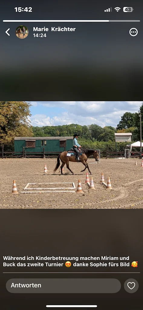 Reitsportfreunde Winterberg - Western & Klassisch e.V. - Foto 1