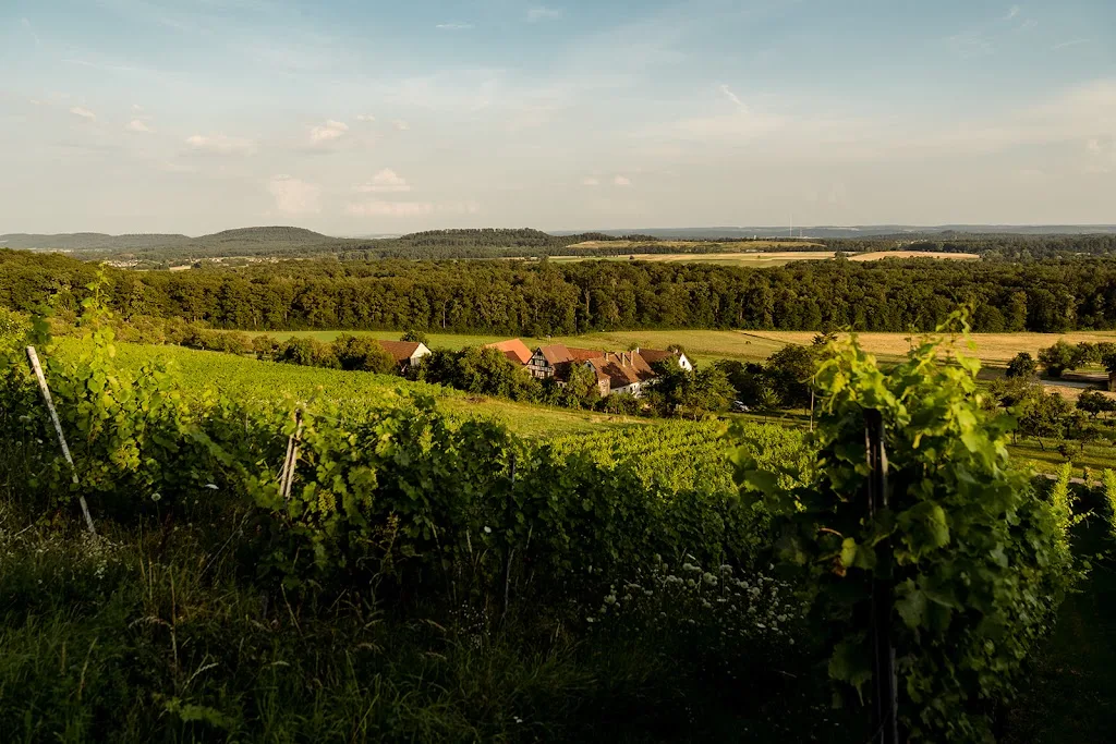 Scheuelberghof - Foto 2