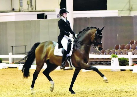 Turnier-und Ausbildungsstall Alyssa Haskamp - Foto 1