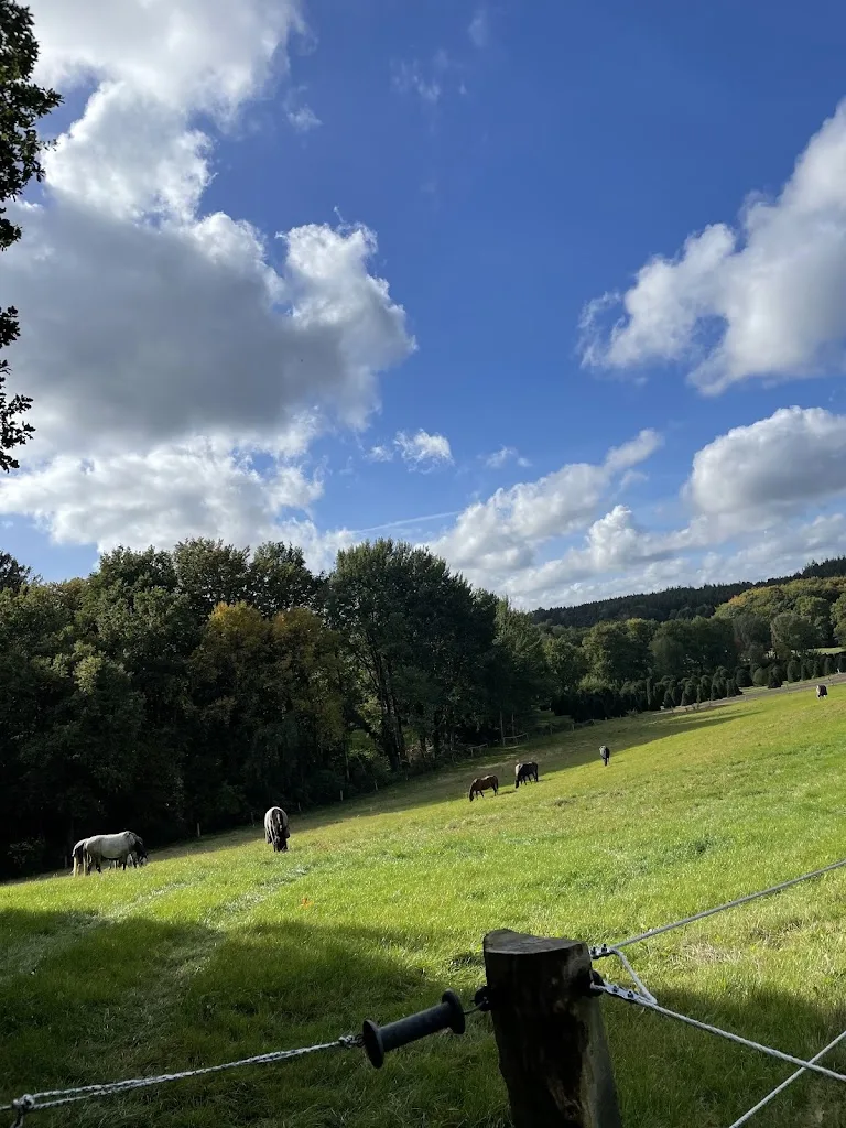 Reitgemeinschaft-Heitmann-Alvesen - Foto 2
