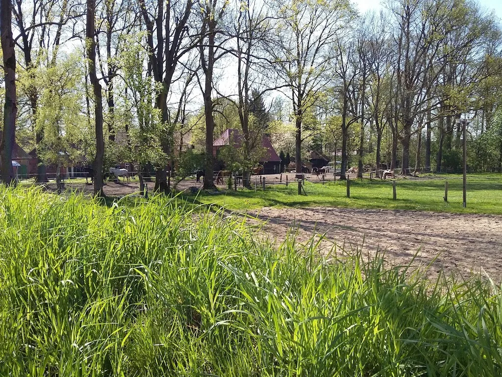 Hof Hogrefe - photo 1