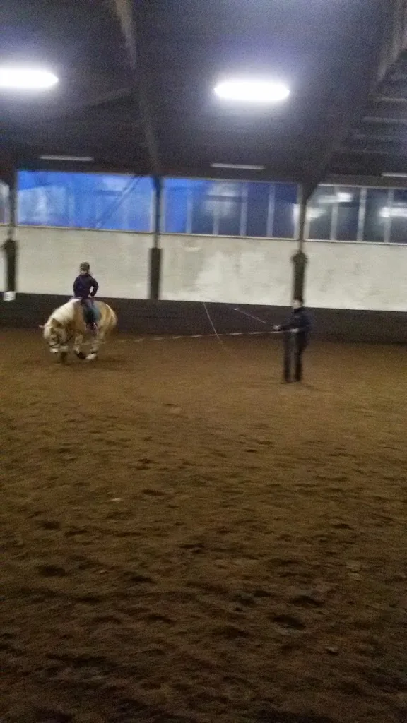 Dream Ranch - Foto 1