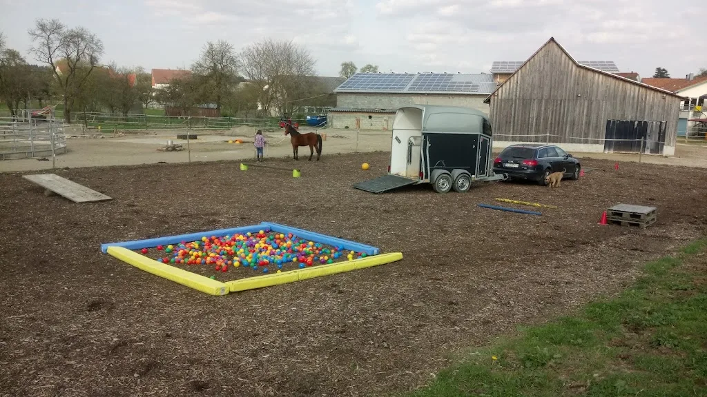 Hof Gut Knecht / Pferdepension / Reitstall - photo 2
