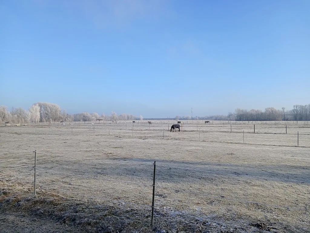 Reiterhof Moll - Foto 1