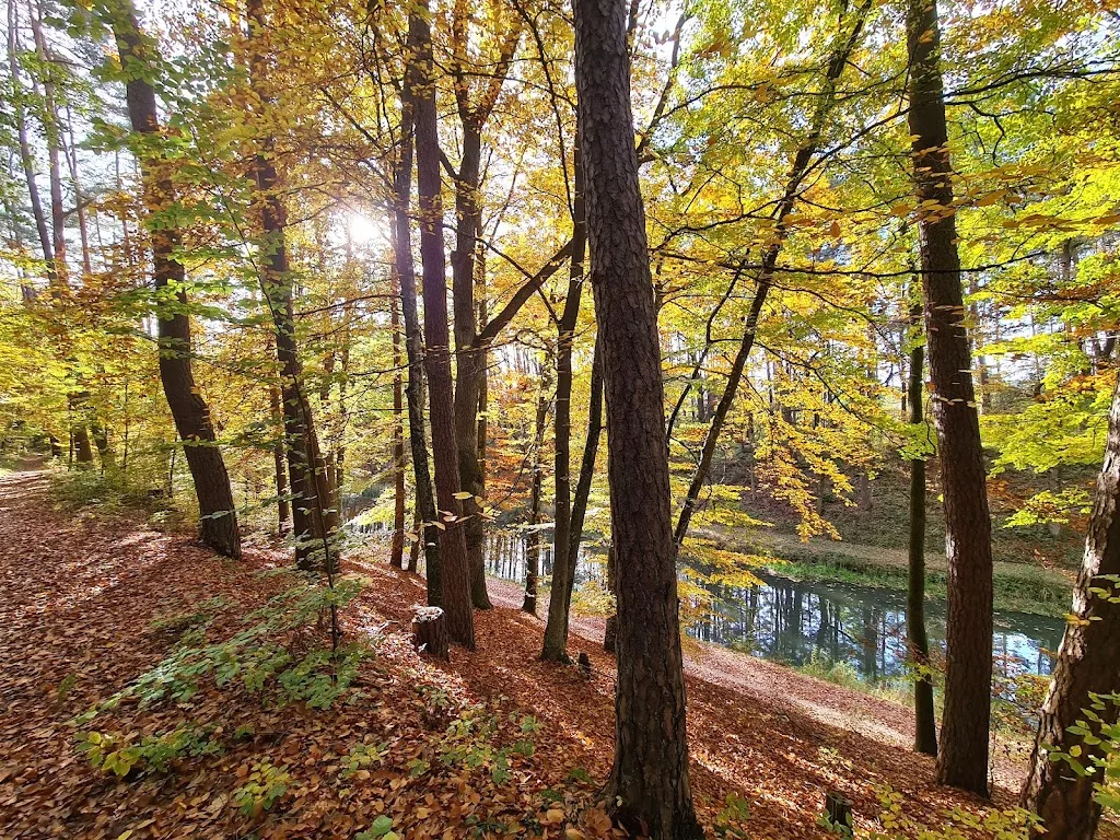 Reitstall Mederer - photo 2