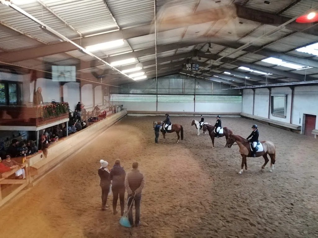 Reitanlage Delmeshof - photo 3
