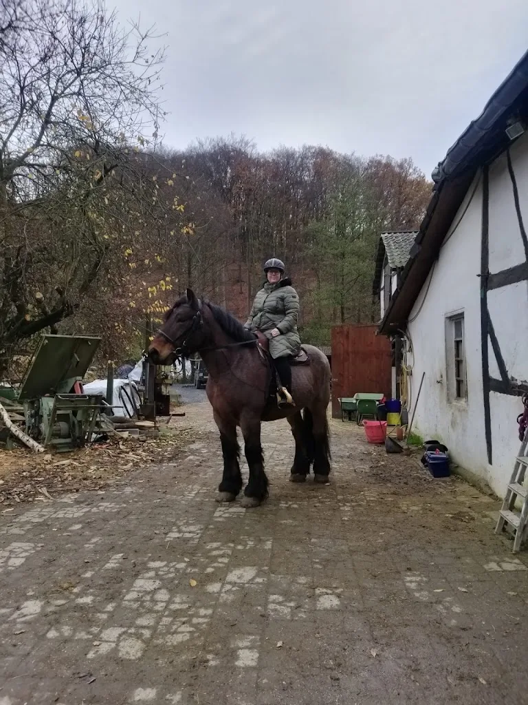 Pillerhof - Foto 1