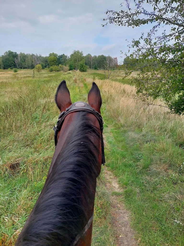 Reitgut Boddinsfelde - photo 1
