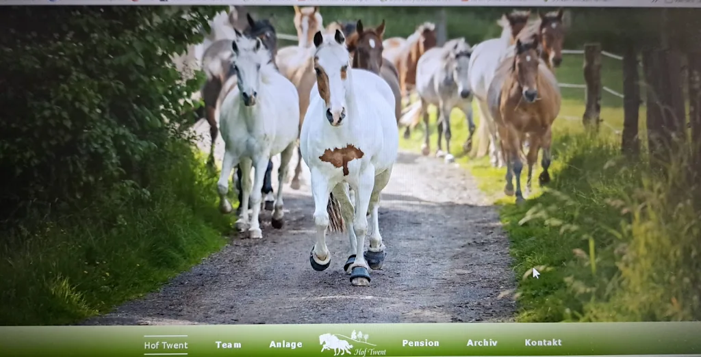 Reitanlage, Islandpferdepension, Reiterhof und LAG-Stall Hof Twent - Foto 3