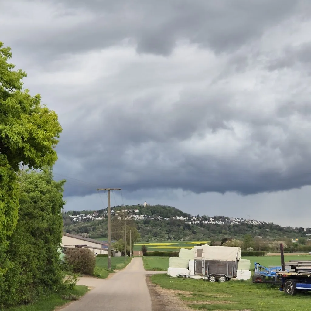 Reit- und Turnierstall Pandtle - photo 1