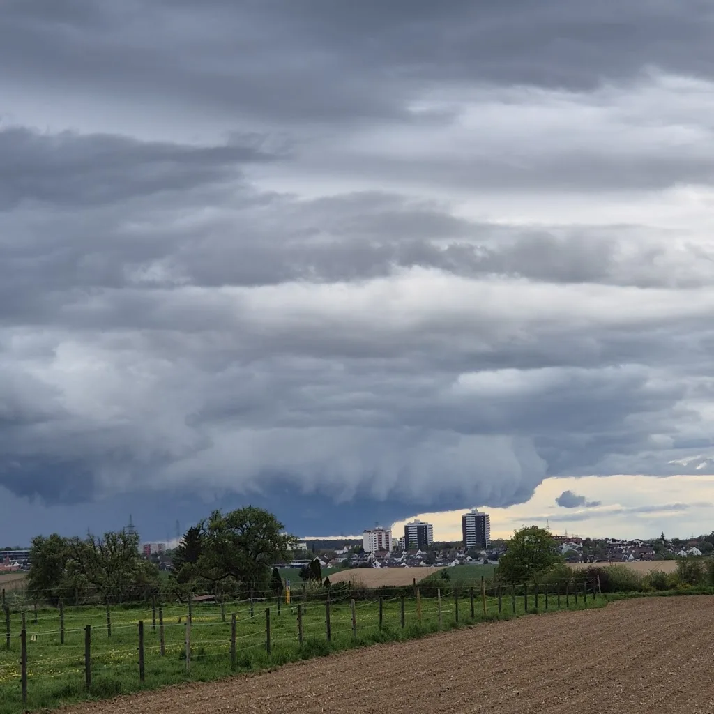 Reit- und Turnierstall Pandtle - photo 2