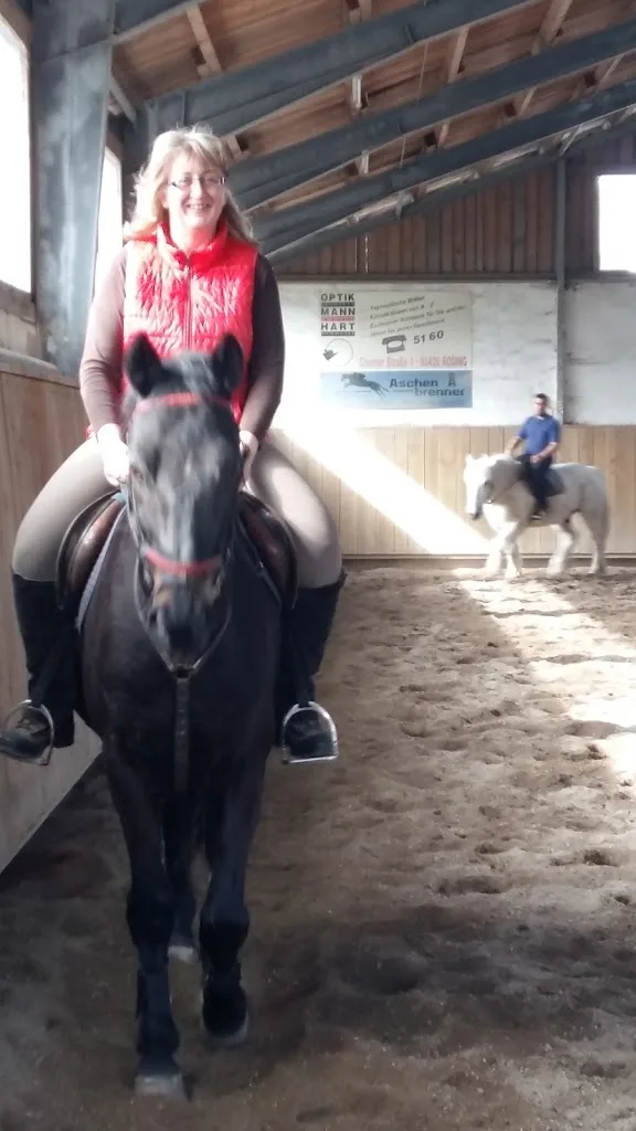 Reitanlage Hofbauer - Foto 2