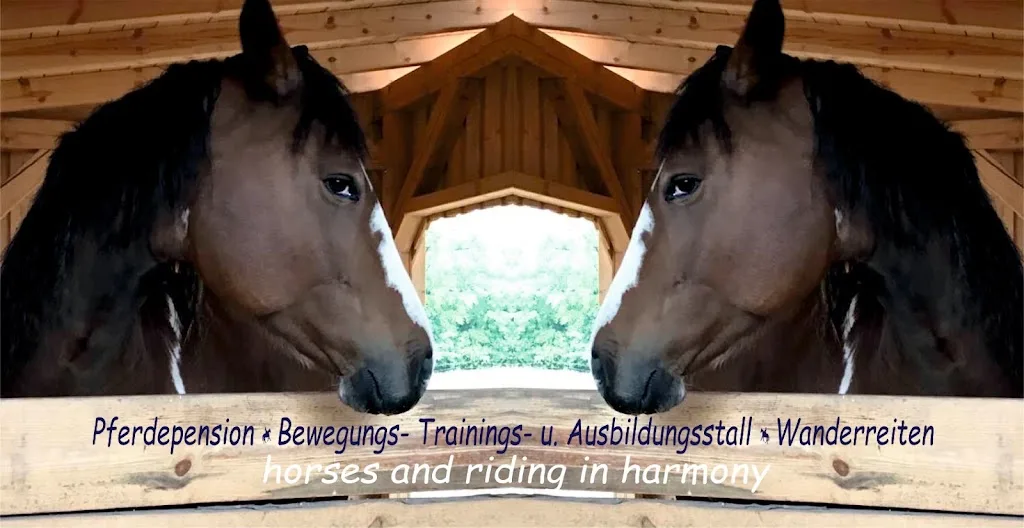 Reitanlage Hofbauer - Foto 3